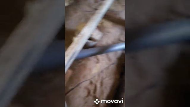 Как провести санузел под полом в частном доме. смотреть онлайн