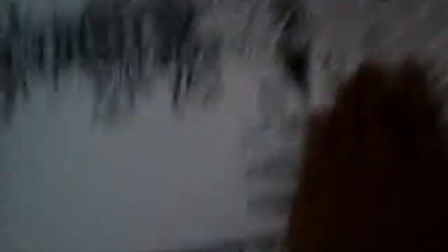 Зачарованный лес смотреть онлайн