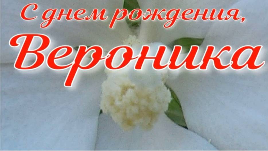 ВЕРОНИКА, С ДНЕМ РОЖДЕНИЯ смотреть онлайн