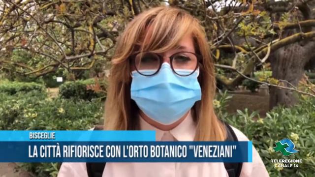 Bisceglie La città rifiorisce con l'orto botanico Veneziani TG Teleregione 15 05 2021 смотреть онлайн