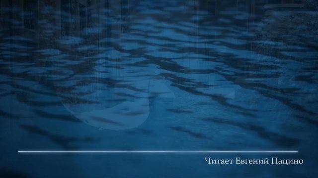 AQUA VITA NUOVA смотреть онлайн