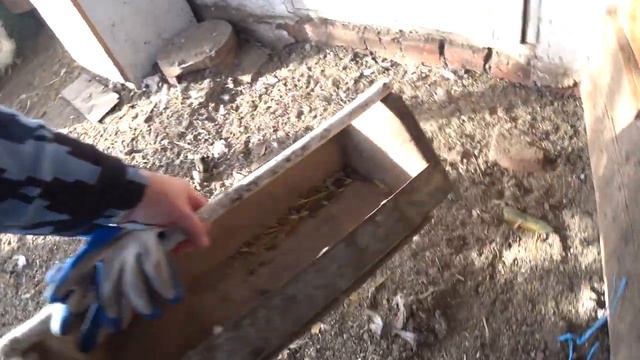 Новогодние хлопоты😋 Она из 90 ых😋 Убрали курятник🐔 Собрали помидоры😍 Керия цветет Январь на Куба смотреть онлайн