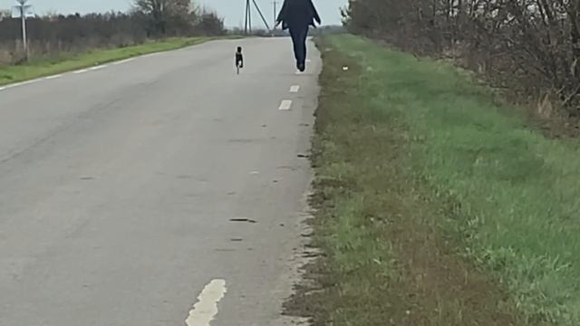  смотреть онлайн