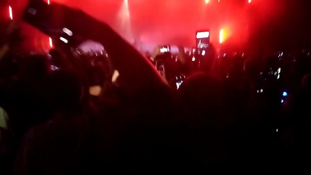Pawsa - Groovy Cat @ Movement Festival Torino смотреть онлайн