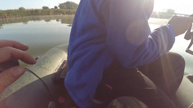 Ловим хищника на живца на стоячие кружки.ТРОФЕЙНАЯ ЩУКА/5КГ/Классная рыбалка смотреть онлайн