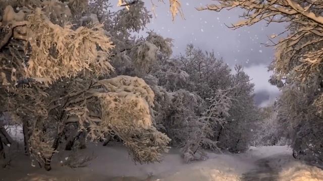 А зима нас забросала . В. Куприянов и Е . Юдина смотреть онлайн