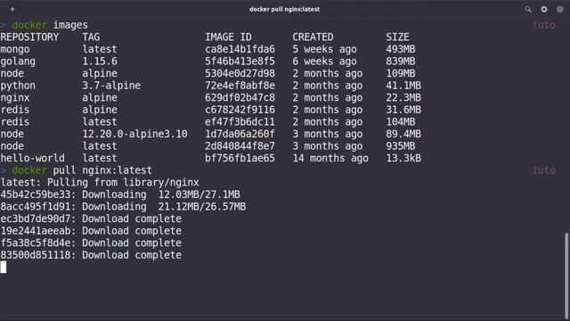 #10 - تشغيل حاوية دوكر إعتمادا على صورة يتم تنزيلها من docker hub смотреть онлайн