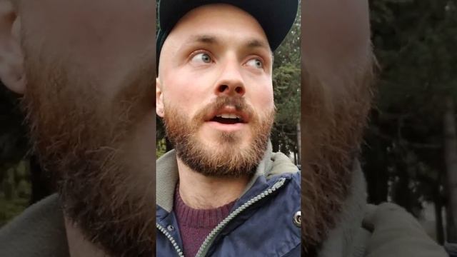 Video Blog 1 - CEIP Vicente Blasco Ibáñez смотреть онлайн