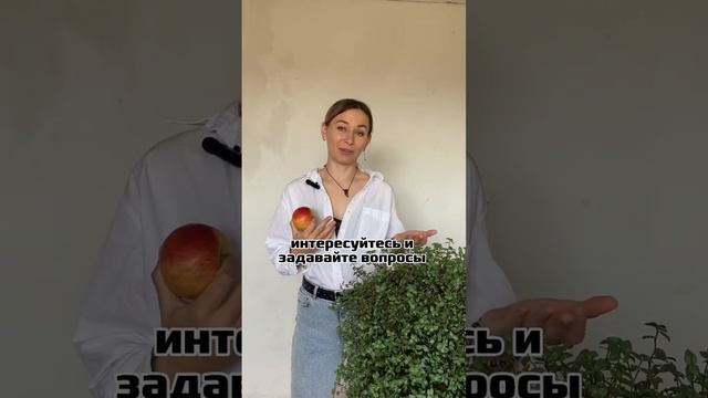 Ответчик вопросов и ответы
