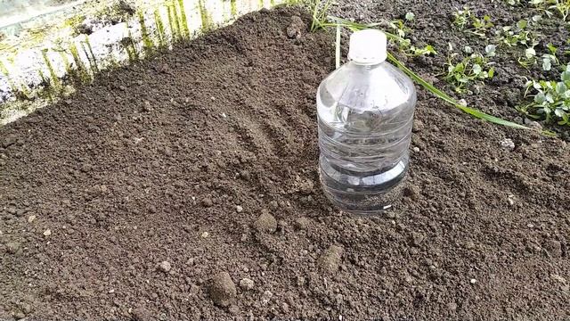 Бутылки в огороде для полива и земледелия смотреть онлайн