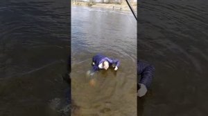 12 апреля Десногорское водохранилище