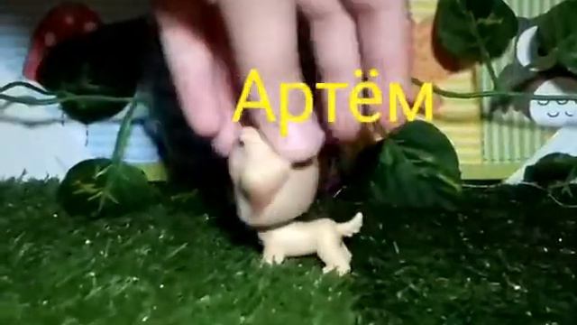 Пишите вопросы и задания для видео правда или действие смотреть онлайн