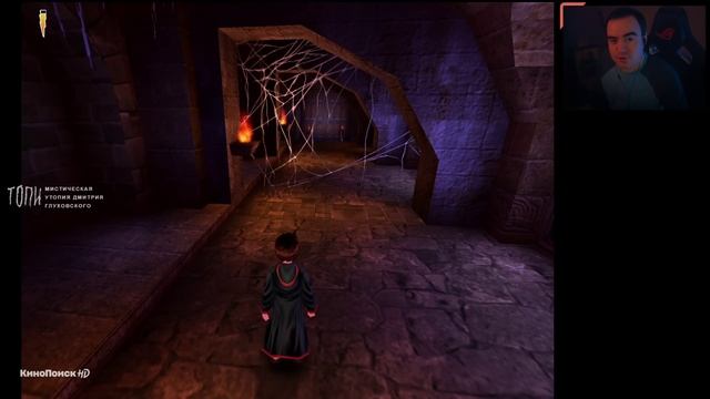 Наказание от чата - Harry Potter PC - часть 2 смотреть онлайн