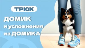 Трюк Домик и команды из домика, дом, нахождение собаки между ног