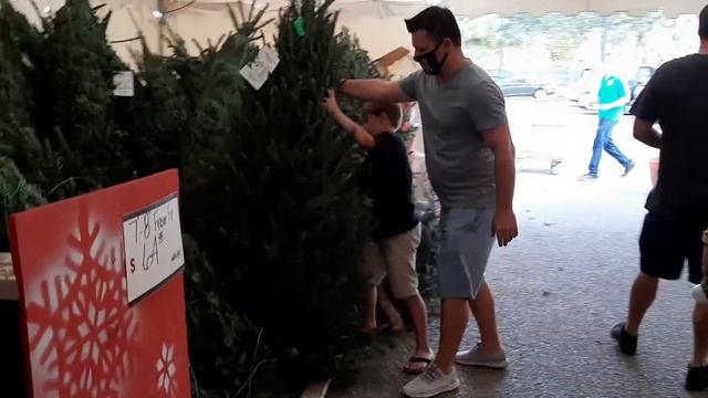VLOGMAS #1: ПОКУПАЕМ ЖИВУЮ ЕЛКУ / АМЕРИКА / ВЛОГ / VLOG смотреть онлайн