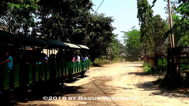 2018 Java Steam & Sugar Tour: Tasikmadu's Borsig Locomotive in Action смотреть онлайн
