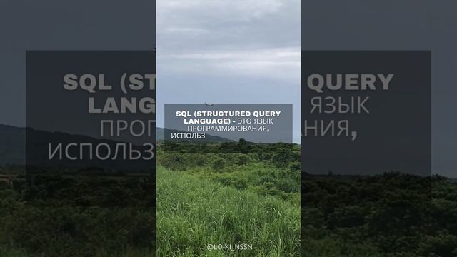 SQL (Structured Query Language) - это язык программирования, используемый для работы с базами данны смотреть онлайн