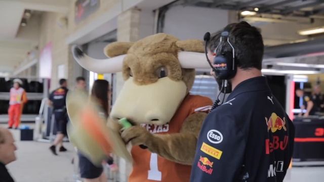 Texas Longhorns Mascot Hook 'Em Meets Daniel Ricciardo and Max Verstappen смотреть онлайн