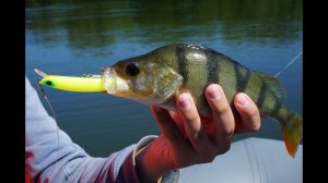 JIB 90F или рыбалка одного воблера