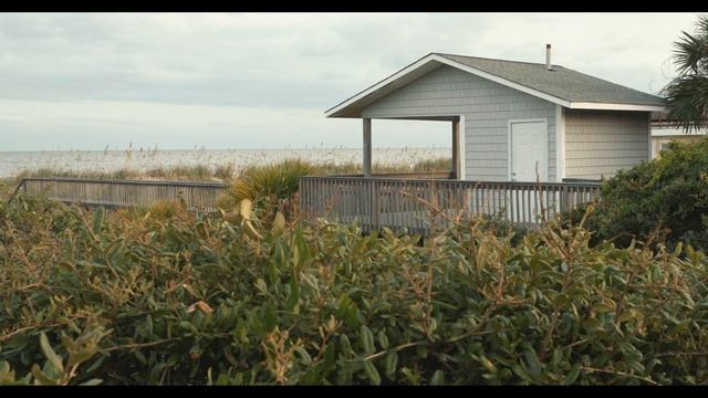 Canon C300 Mark III - Canon Log 2 Test Footage смотреть онлайн