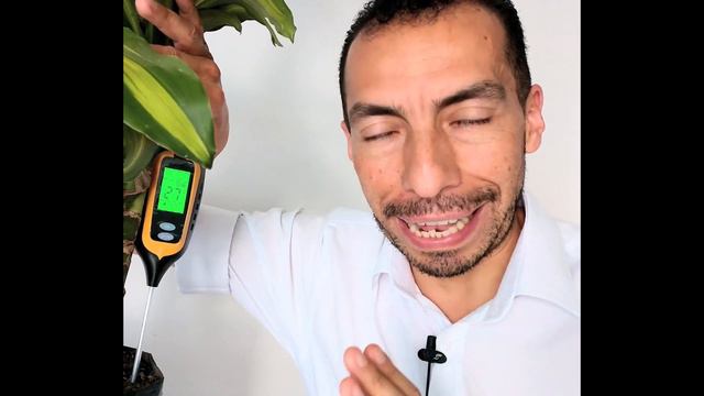 CÓMO USAR UN HIDROMETRO o PEACHIMETRO EN PLANTAS DE MACETA смотреть онлайн