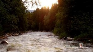 "КОСТЕР - АЛЕКСАНДР  ГЕЙНЦ и  СЕРГЕЙ  ДАНИЛОВ