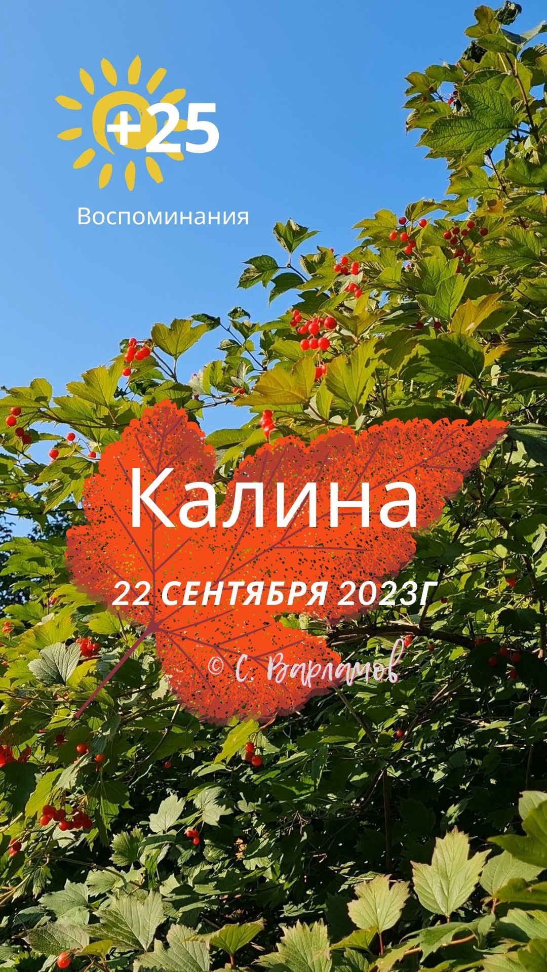 Калина 22092023