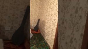 Казахские народные песни