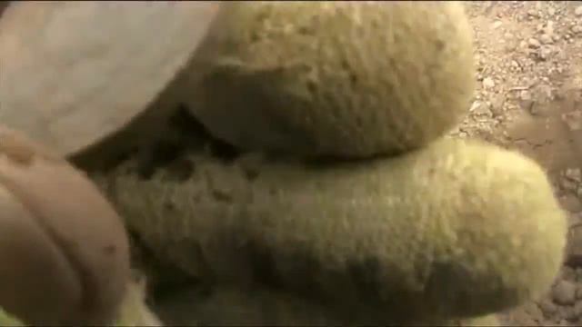 От куда появились крейцер, 6 монет и другие находки смотреть онлайн