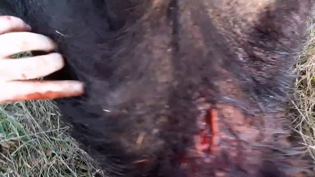Flip em & stick em whack em & stack em Part 1 смотреть онлайн