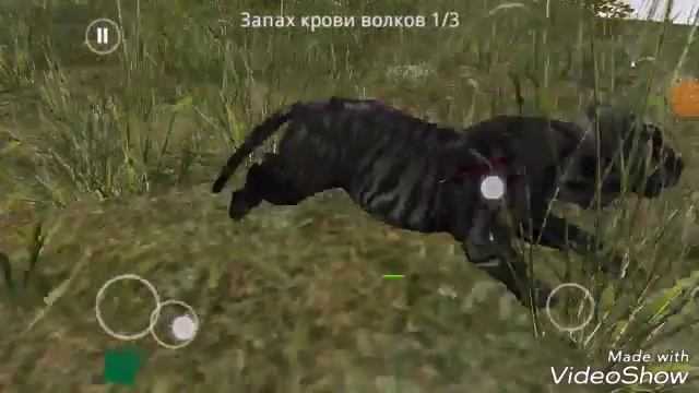 Life of black tiger прохажу миссии#1 смотреть онлайн