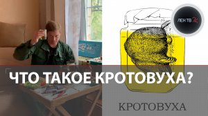 Кротовуха откуда мем? | Кто пьет настойку на мертвом кроте