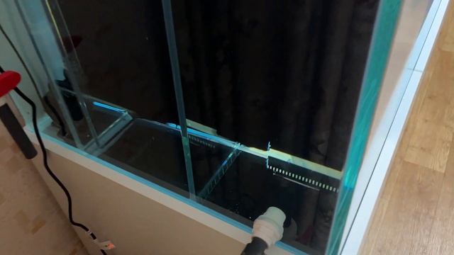 Аквариум 600 литров с боковым сампом. Сделали как в Europa Discus Center. смотреть онлайн