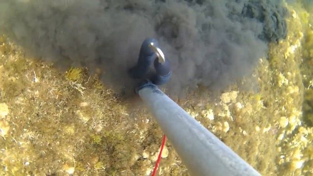 Подводная охота. Сезон охоты на каракатиц.Охота на каракатиц в Греции. Как охотиться на каракатиц. смотреть онлайн