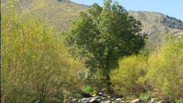 Каратауский заповедник, Қаратау қорығы смотреть онлайн