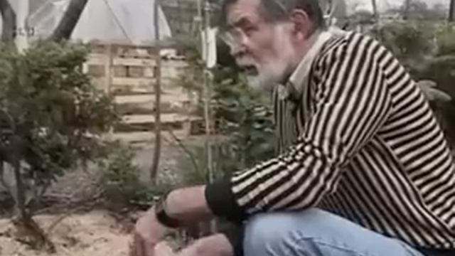 Магнолия смотреть онлайн