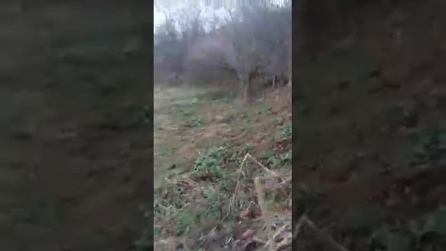 Лучше гор только горы.(2) смотреть онлайн