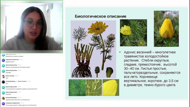 Биология 9 класс. ОУ1 05.09.2024