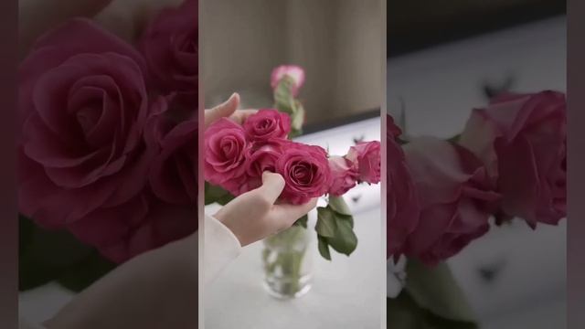 "Последний цветок" Флориан Роси Невероятная история! #красивыестихиолюбви #трогательно смотреть онлайн