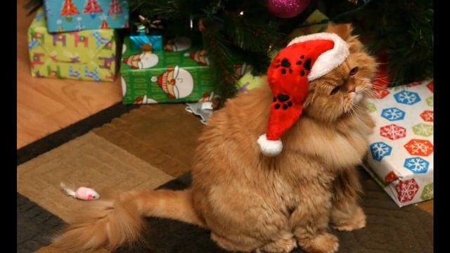 интернет магазин подарков на новый год спб смотреть онлайн