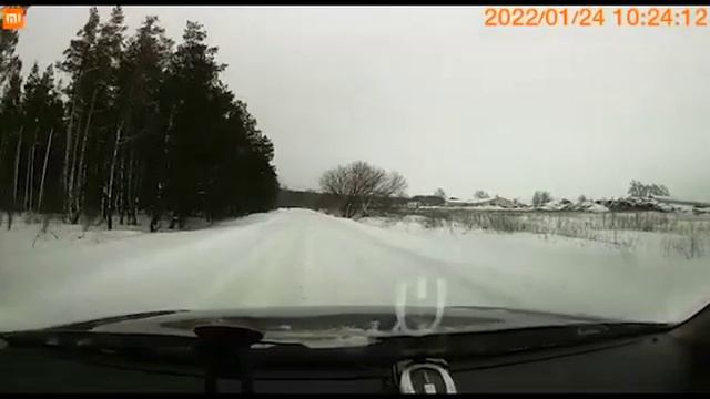Охота за зайцем недалеко от жилых домов в Воронеже смотреть онлайн
