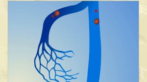 Жизненный цикл малярийного плазмодия. Биология