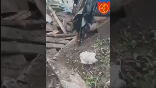 Кадры из района Артёмовска со стороны ВСУ. Украинские военные ругают своё командование.MP4 смотреть онлайн