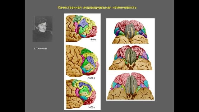 С.В. Савельев выступление в Еврейском культурном центре на Никитской смотреть онлайн