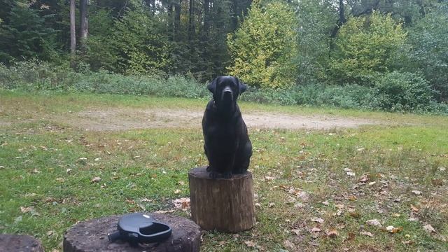 Уля в Измайловском парке смотреть онлайн