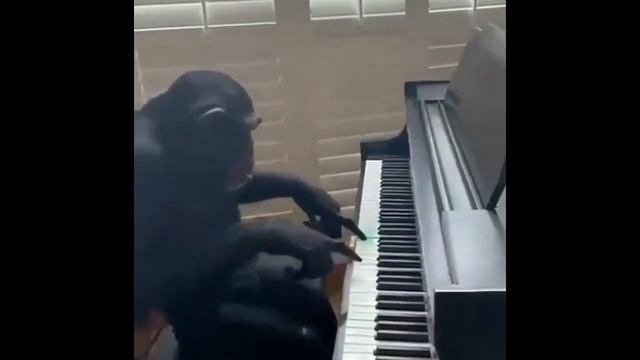 Одно слово, животные! Выпуск №14 смотреть онлайн