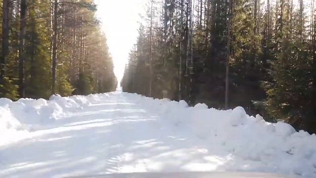 Швакинские известняки Плесецкий район Архангельской области смотреть онлайн