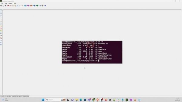 How to free disk space on zabbix Server.
