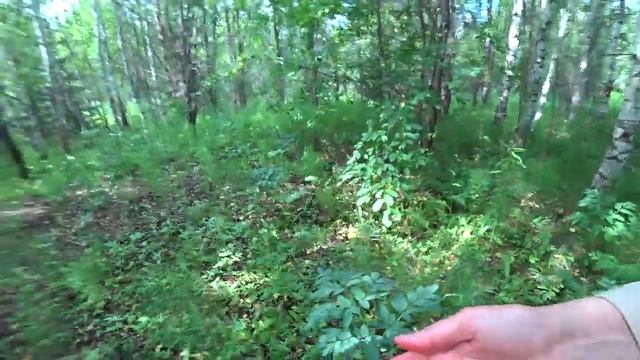 Июльский поход Пермский край (2). Кыласово. смотреть онлайн