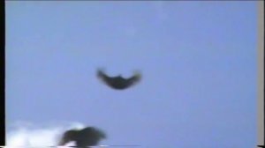 Голуби Николаевские Серпасто-Выворотные